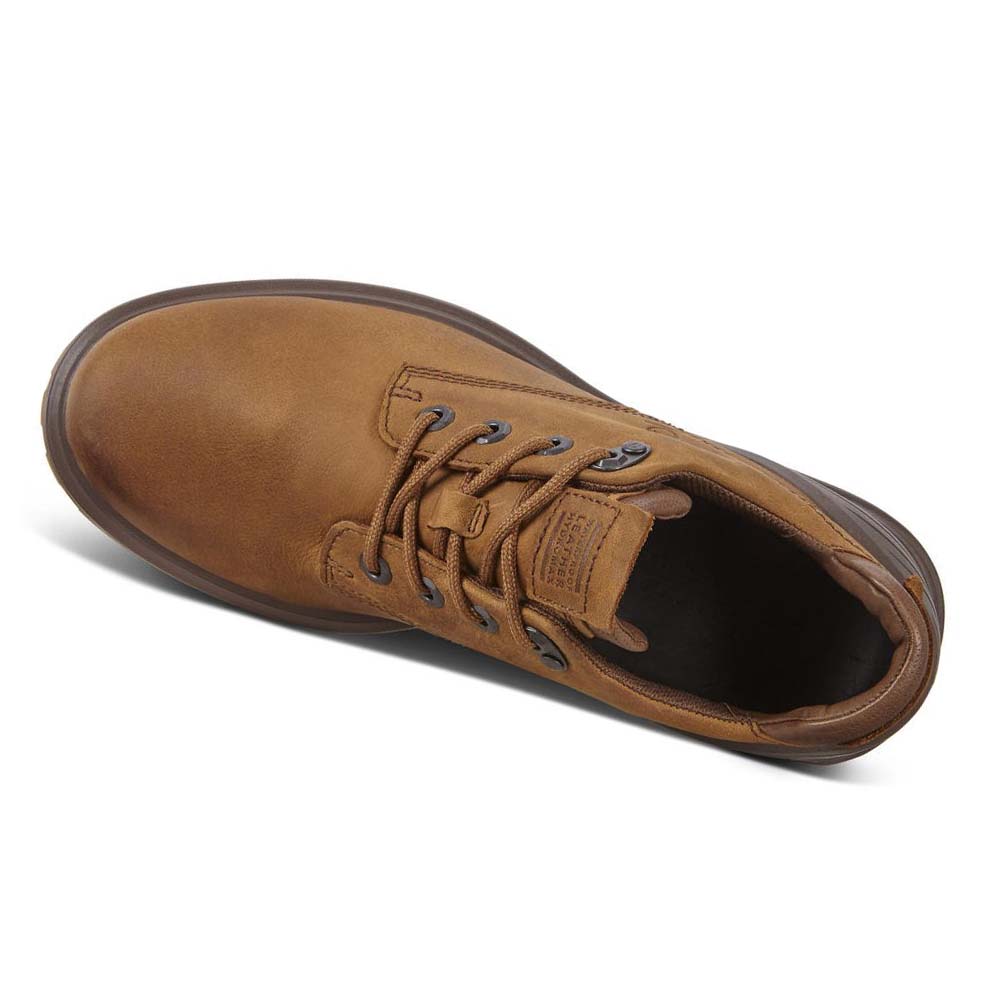 Men's Ecco Tredtray Hiking & Trail Brown | SG 575PJJ